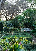 Summer garden with white bench in shady corner
