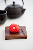 Wagashi Kamelie (Tsubaki) mit Teekanne (Japan)