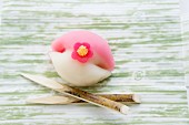Wagashi camellia (tsubaki), a Japanese sweet