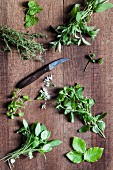 Assorted fresh herbs with a knife on a wooden surface