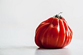 An oxheart tomato