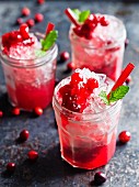 Cranberry drinks with mint