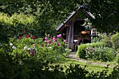 Sommergarten mit blühenden Blumen und kleines Brotbackhäuschen