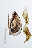 Fresh oyster with seaweed, salt and pepper