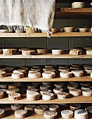 Wheels of cheese on wooden shelves