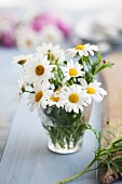 Posy of ox-eye daisies in drinking glass