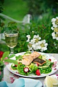 A large spring salad with salmon