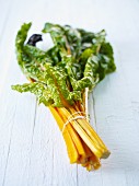 Stalks of yellow chard, tied in a bunch