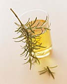 A small glass of oil with a sprig of rosemary
