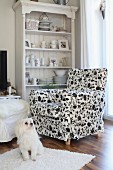 Crockery and ornaments on country-house shelving behind armchair with black and white floral upholstery and dog on long-pile rug