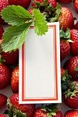 Erdbeeren, Erdbeerblatt und Schild zum Beschriften
