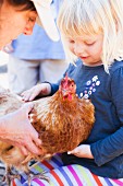 A Little Girl Holding a Chicken