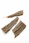 Three pieces of oak bark