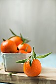 Mandarins, in a cardboard pot and to one side