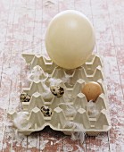 Quail's eggs, a hen's egg and an ostrich egg in an eggbox