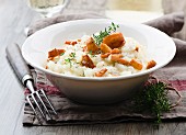 Risotto with chanterelles and thyme