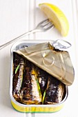 An open tin of sardines with a wedge of lemon