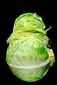 A white cabbage, partly sliced