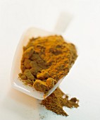 Paprika powder in a scoop