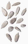 Sunflower seeds in front of white background