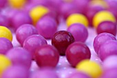 Lots of pink and yellow gumballs (close up)