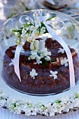 Chocolate cake with white lilac blossoms under a glass cake cover dome on a garden table