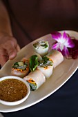 Spring Roll with a Peanut Dipping Sauce