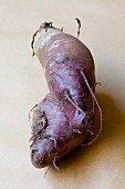 A red turnip (organic)