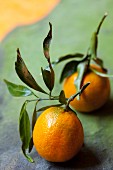 Two clementines with leaves