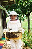 Mädchen hält Bienenwabe mit Bienenvolk