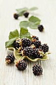 Fresh blackberries with leaves in a bowl and to one side