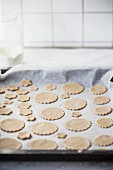 Cut-out biscuit dough on a baking tray