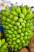 Bunch of bananas