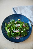 Salat mit frischen Kräutern