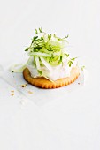 A cracker topped with trout and cucumber