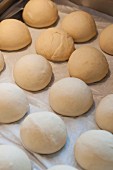 Balls of pizza dough arranged in rows