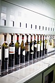 Assorted bottles of red wine in a restaurant kitchen