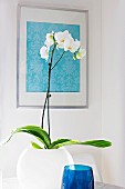 White orchid in spherical vase below framed fabric sample on wall