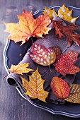Autumn arrangement: plate of colourful, dried and painted autumn leaves
