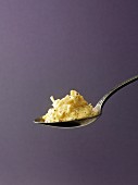 Creamed horseradish on a spoon
