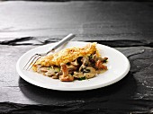 Omelette with mushroom filling