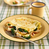 Lasagne mit Hühnerfleisch & Brokkoli
