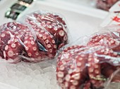 Octopuses at the market, Tokyo