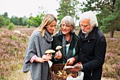 Elderly parents with their daughter hunting for mushrooms