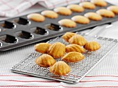 Madeleines in a baking tray and on a wire rack