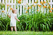 Caucasian girl exploring flowers in backyard