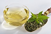 Hanf (Cannabis Sativum) getrocknet & als Tee aufgebrüht