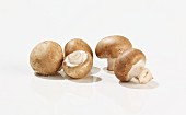 Five chestnut mushrooms