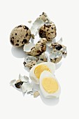 Quail's eggs (hard-boiled and eggshells)