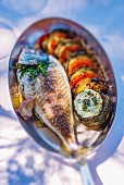 Baked gilt-head bream with aubergines, tomatoes and herb butter